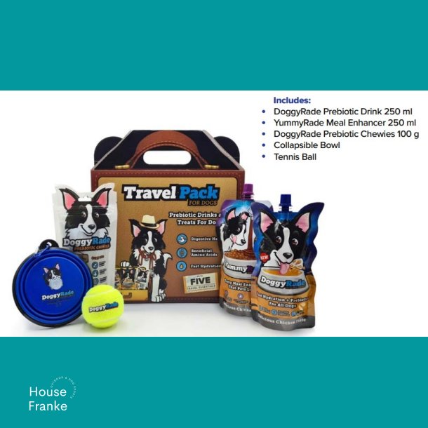 DoggyRade TravelPack for Dogs 