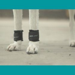 BENE LUPO� klobeskyttelsesbandage